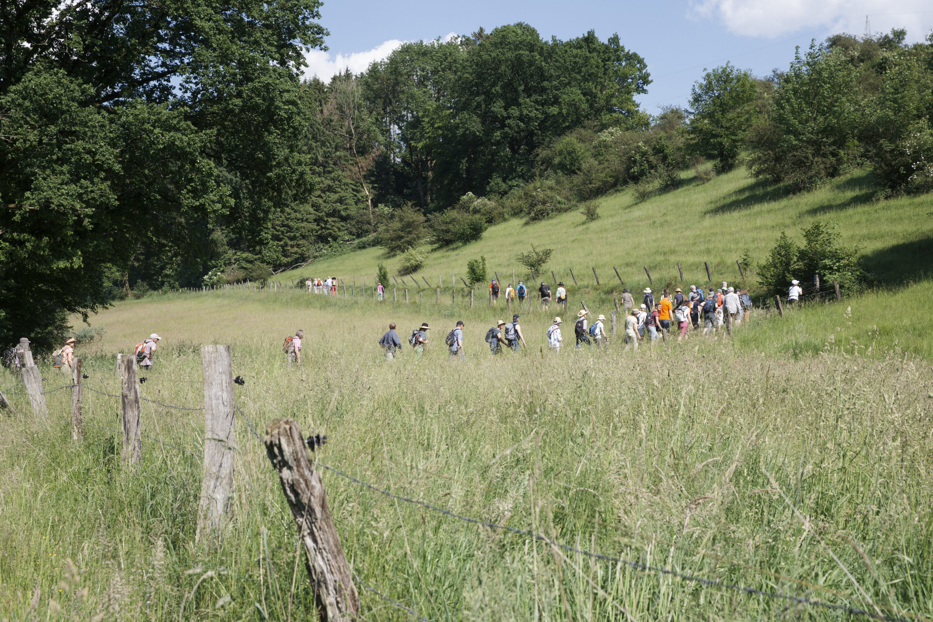 R&uuml;ckblick auf die Saison 2023 &middot; Wege durch das Land